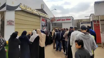 محافظ الدقهلية يؤكد استمرار عمل منافذ الخبز المدعم الجديدة في المنصورة