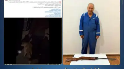 ضبط شخص في الإسماعيلية بتهمة التعدي على الكلاب الضالة باستخدام سلاح ناري