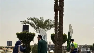 جهاز مدينة العبور يواصل حملات تلقيح النخيل لتعزيز الاستدامة البيئية