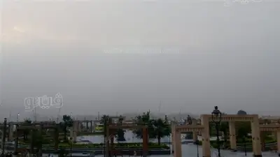 الأرصاد تحذر من شبورة كثيفة وأتربة عالقة.. تفاصيل حالة الطقس غداً السبت