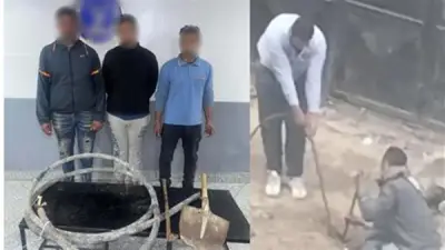 ضبط متهمين بسرقة كابل كهربائي في بورسعيد بعد تداول فيديو على مواقع التواصل