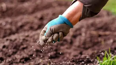 انخفاض أسعار الأسمدة اليوم باستثناء السلفات في الأسواق المحلية