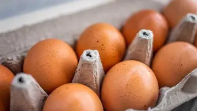 انخفاض أسعار البيض في بورصة الدواجن مع اقتراب شم النسيم