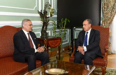 وزير الخارجية المصري: استضافة الملايين في اندماج كامل رغم محدودية الدعم الدولي