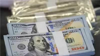 استقرار سعر الدولار أمام الجنيه في البنوك المصرية اليوم الأحد مع توقعات بارتفاعه