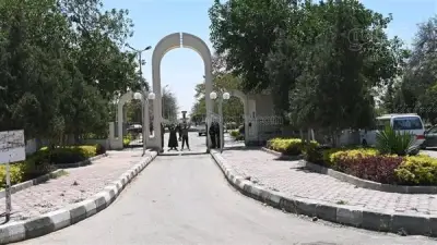 الشرقية ترفع جاهزية الحدائق لشم النسيم وتعلن استقرار أسعار البيض والفسيخ