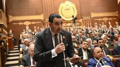 رئيس برلماني: حزمة قوانين الأسرة خطوة جادة لإصلاح تشريعي شامل