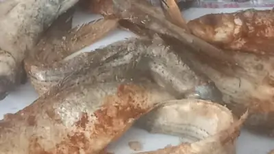 تموين قنا يشن حملات مكثفة ويضخ سلعاً إضافية لضمان سلامة الغذاء في شم النسيم