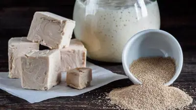 الفرق بين الخميرة الفورية والبيرة والأقراص: أيهما الأفضل لصحتك؟