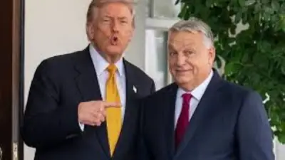 ترامب يعلق على احتمال خسارة أوربان في المجر: 