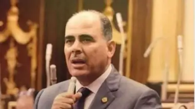 برلماني: توجيهات السيسي بشأن قوانين الأسرة خطوة جادة لمعالجة الخلل المجتمعي