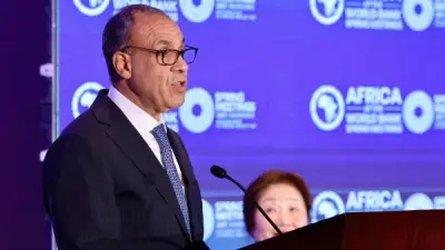 وزير الخارجية المصري يؤكد ضرورة تمويل أمن المياه في أفريقيا لمواجهة التحديات المناخية