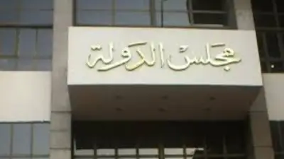 مجلس الدولة ينظر دعوى عزل أطباء مستشفى العباسية النفسية بسبب تقارير طبية مثيرة للجدل