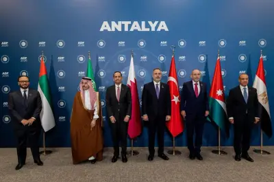 وزير الخارجية المصري يطالب المجتمع الدولي بنشر قوة دولية في غزة