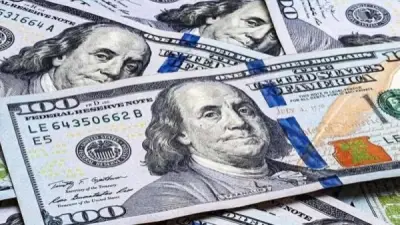 استقرار سعر الدولار في السوق الرسمي اليوم السبت مع تعطل البنوك