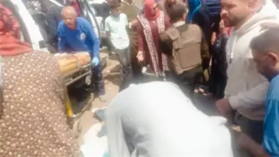 خروف ينطح سيدة مسنة في الغربية ويسبب كسراً في جمجمتها ونزيفاً داخلياً خطيراً