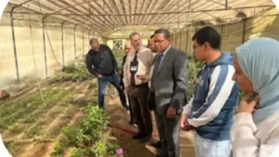 جامعة بني سويف تحصد إشادة دولية في تقرير الجمعية الأمريكية للكيمياء