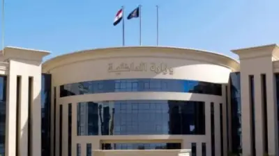 استعادة رضيعة مختطفة في وقت قياسي.. إشادات بكفاءة الأجهزة الأمنية وتطور أدائها