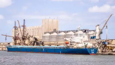 ميناء دمياط يستقبل سفينة قمح عملاقة من أوكرانيا ضمن حركة تجارية نشطة