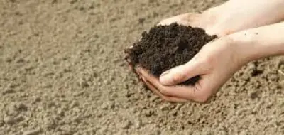 الأزهر يوضح حكم التيمم عند عدم وجود ماء ساخن للاغتسال من الحيض