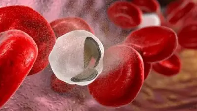 أنيميا الفول: دليل شامل للأطعمة الممنوعة والآمنة لتجنب نوبات التكسير