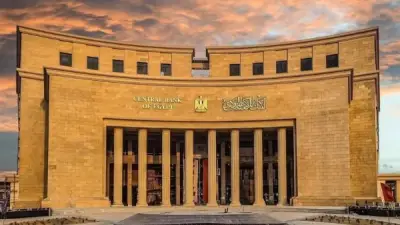 البنك المركزي المصري يوجه البنوك بتفعيل نظام goAML لمكافحة غسل الأموال وتمويل الإرهاب
