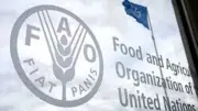 الفاو تحذر: موجات الحر تهدد الأمن الغذائي العالمي وتؤثر على 1.23 مليار شخص