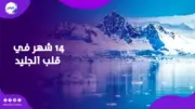 14 شهراً في القطب الجنوبي تغير بنية الدماغ وتضعف الذاكرة