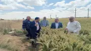 قطاع استصلاح الأراضي يوثق إنجازاته: 20 ندوة إرشادية وإزالة 25 تعدياً خلال أبريل