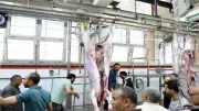 بدء التشغيل التجريبي لمجزر الزقازيق بعد تطويره بـ34 مليون جنيه