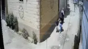 مصرع طفل في هجوم 4 كلاب ضالة بالشرقية يثير صدمة الأهالي