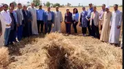 انطلاق موسم حصاد القمح: استهداف 5 ملايين طن لتعزيز المخزون الاستراتيجي