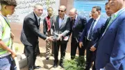 محافظ المنيا يشارك في زراعة 500 شجرة بمجمع مدارس مغاغة لدعم المساحات الخضراء