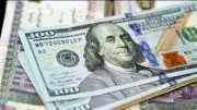 استقرار سعر الدولار أمام الجنيه عند 51.94 جنيها للشراء في البنك المركزي