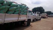 محافظ سوهاج: استلام 8431 طن قمح بالصوامع والشون حتى الآن وسط جهود دعم المزارعين