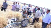 رئيس جامعة سوهاج يقود آلة حصاد القمح في مزارع الكلية ويؤكد على دعم الأمن الغذائي