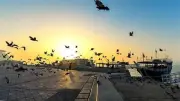 الصحة تكشف عن الأمراض المتوقع ظهورها في الصيف وطرق الوقاية