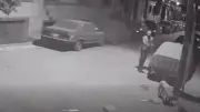 نهاية مأساوية لكلب ضال في أسيوط.. موظف يطلق النار عليه أثناء تناوله الطعام