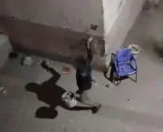 سقوط مبتز ضبط متهم بإلقاء زجاجات على المارة في المرج