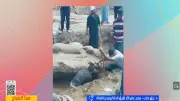 اكتشاف تمثال ضخم لرمسيس الثاني بالشرقية يعكس عظمة الموقع التاريخي