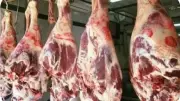 استقرار أسعار اللحوم الطازجة بأسواق الوادي الجديد اليوم الجمعة