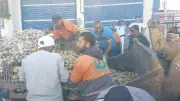 حملات رقابية مكثفة بالمحافظات لضبط الأسواق وإزالة المخالفات