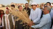 محافظ المنيا يشارك المزارعين حصاد القمح ويؤكد: الفلاح بطل الأمن الغذائي