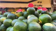 هل طُرح البطيخ قبل أوانه؟.. رئيس مركز معلومات المناخ يحسم الجدل