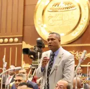 انفراجة كبرى لملف مزارعي أبيس بالإسكندرية والبحيرة.. نائب يكشف التفاصيل