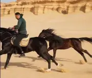 عصام السقا يدعم السياحة في مصر بفيديو جديد مع الخيول في الصحراء