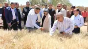محافظ الوادي الجديد تتفقد نتائج تجربة إكثار أصناف القمح عالية الإنتاجية
