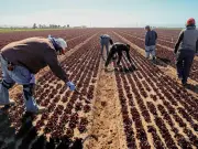 وكيل الأمين العام للأمم المتحدة يحذر من إغلاق مضيق هرمز وتأثيره على الأمن الغذائي العالمي