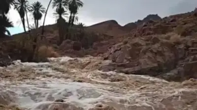 كينيا.. مصرع 10 أشخاص جراء الأمطار الغزيرة والفيضانات