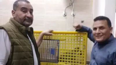 بعد 10 أيام من البحث.. ضبط نسناس السادات الهارب وإيداعه في فندق الحيوانات